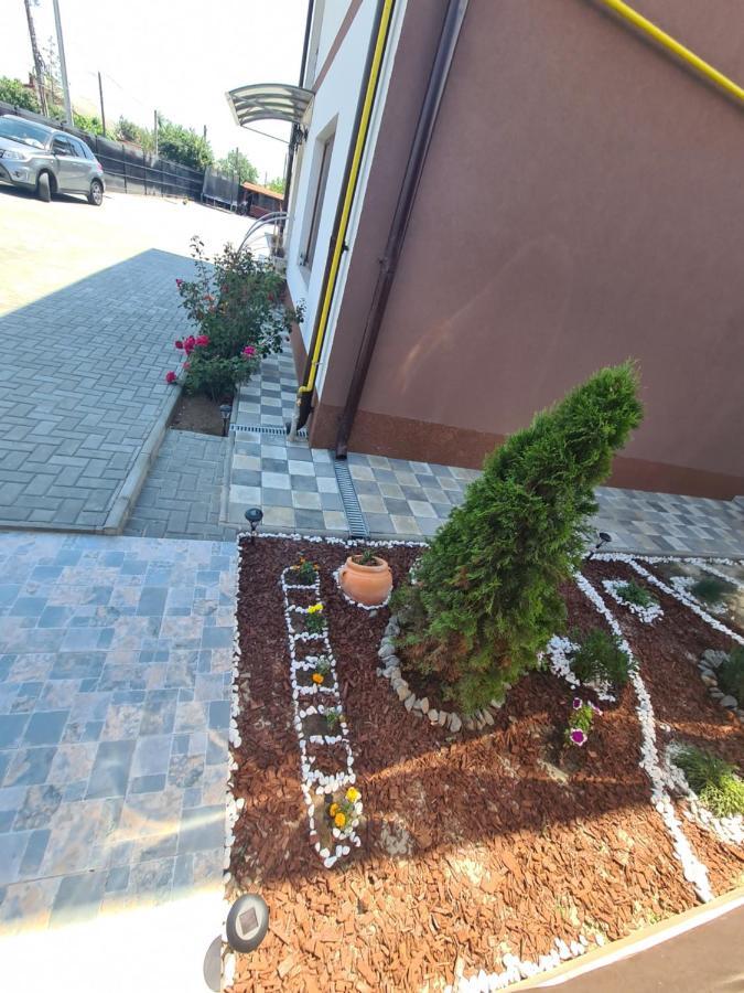 Casa Coco Ξενοδοχείο Două Mai Εξωτερικό φωτογραφία